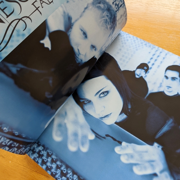 Evanescence -- Fallen : Piano/Vocal/Chords by Evanescence - Picture 4 of 5